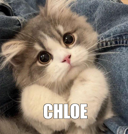 Chloé